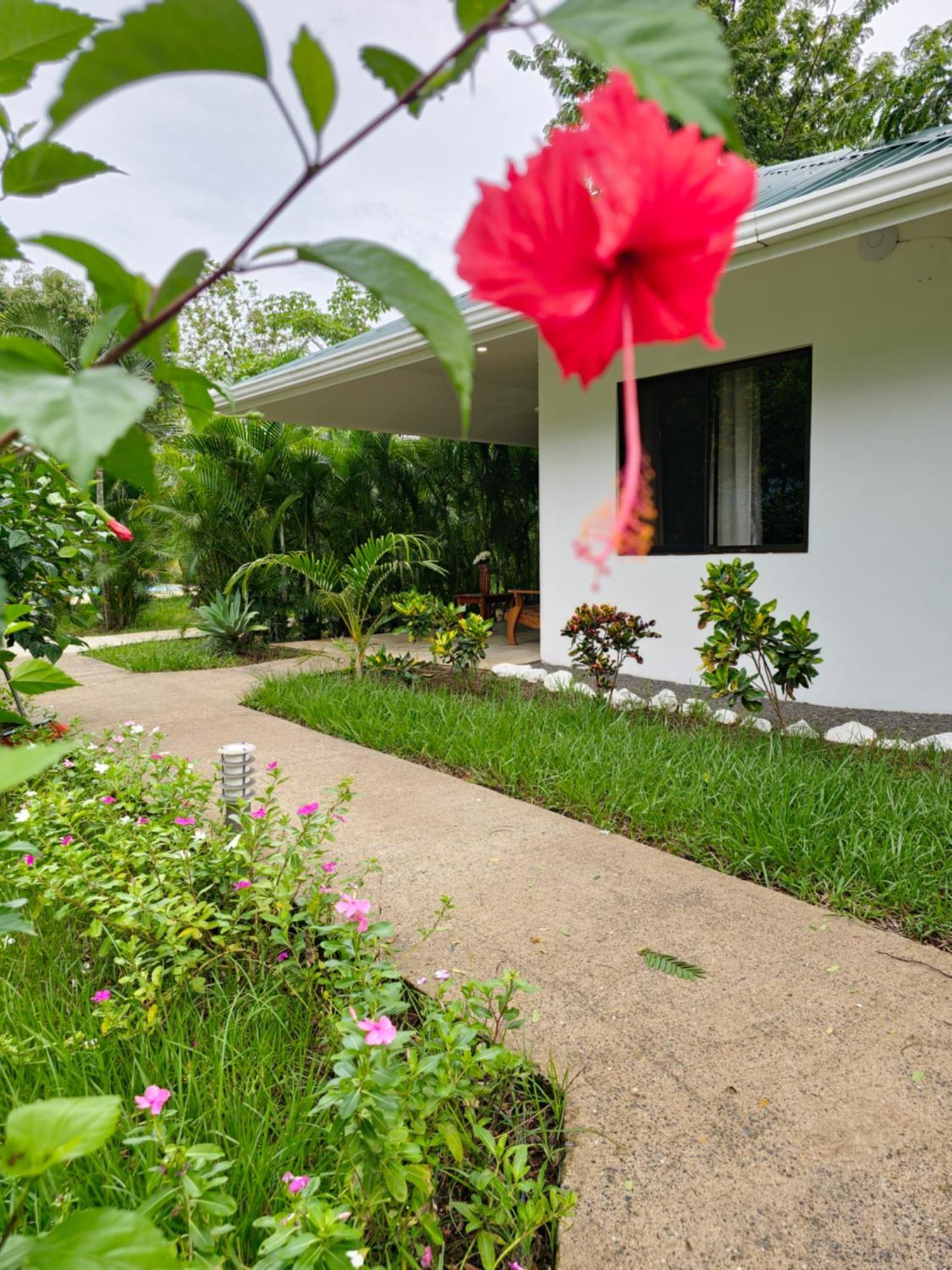 Buddha Retreat Hotel San Juanillo Ngoại thất bức ảnh